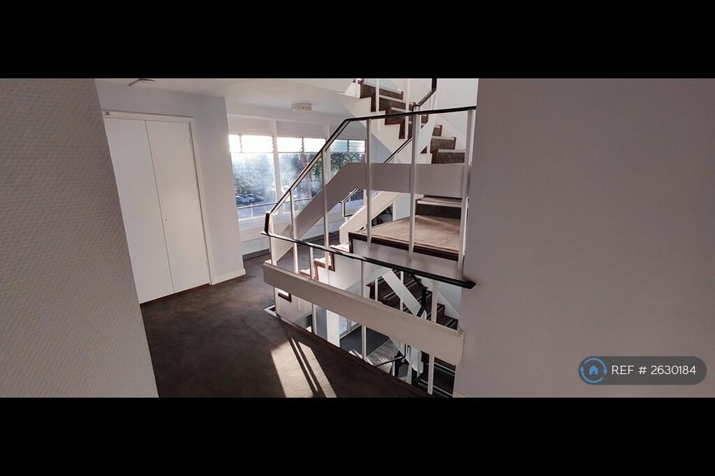 Looking Out Front Door