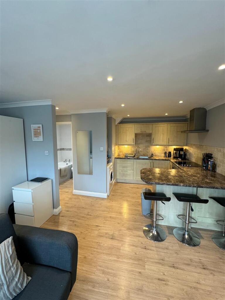 Open Plan Kitchen/Lounge/Bedroom