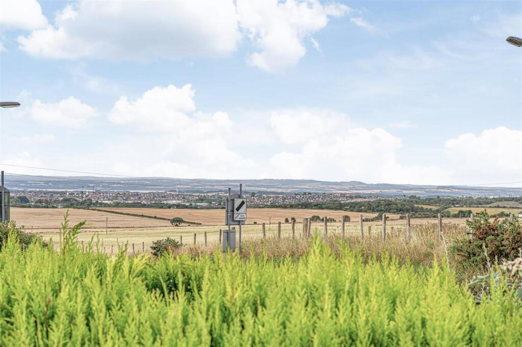 untitled (32 of 1).JPG