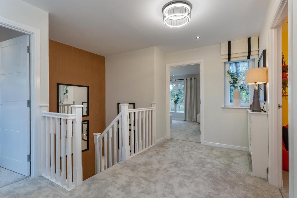 Showhome Photography