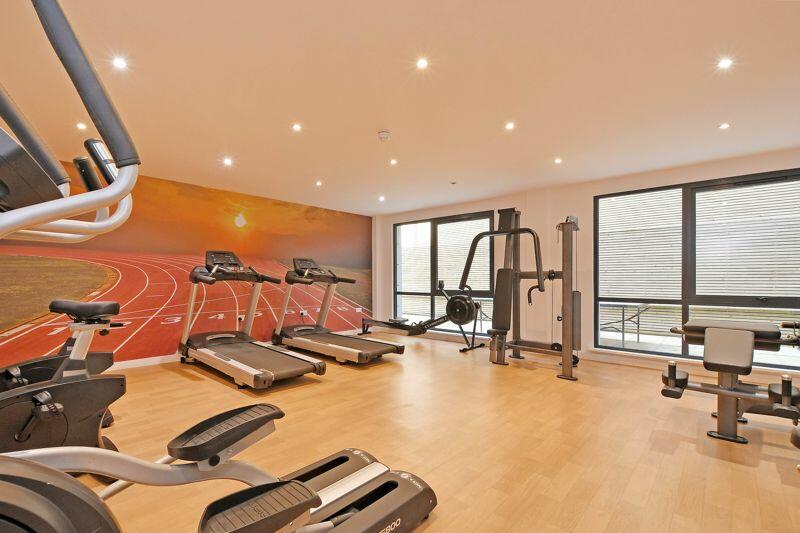 Gymnasium