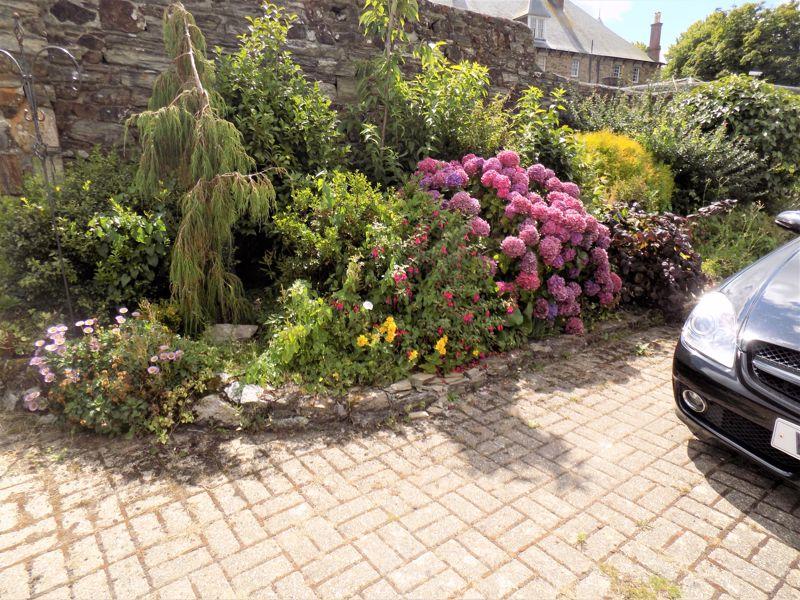 Driveway Shrub...