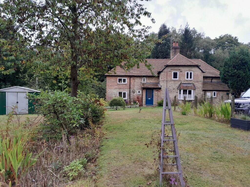 Front garden 2
