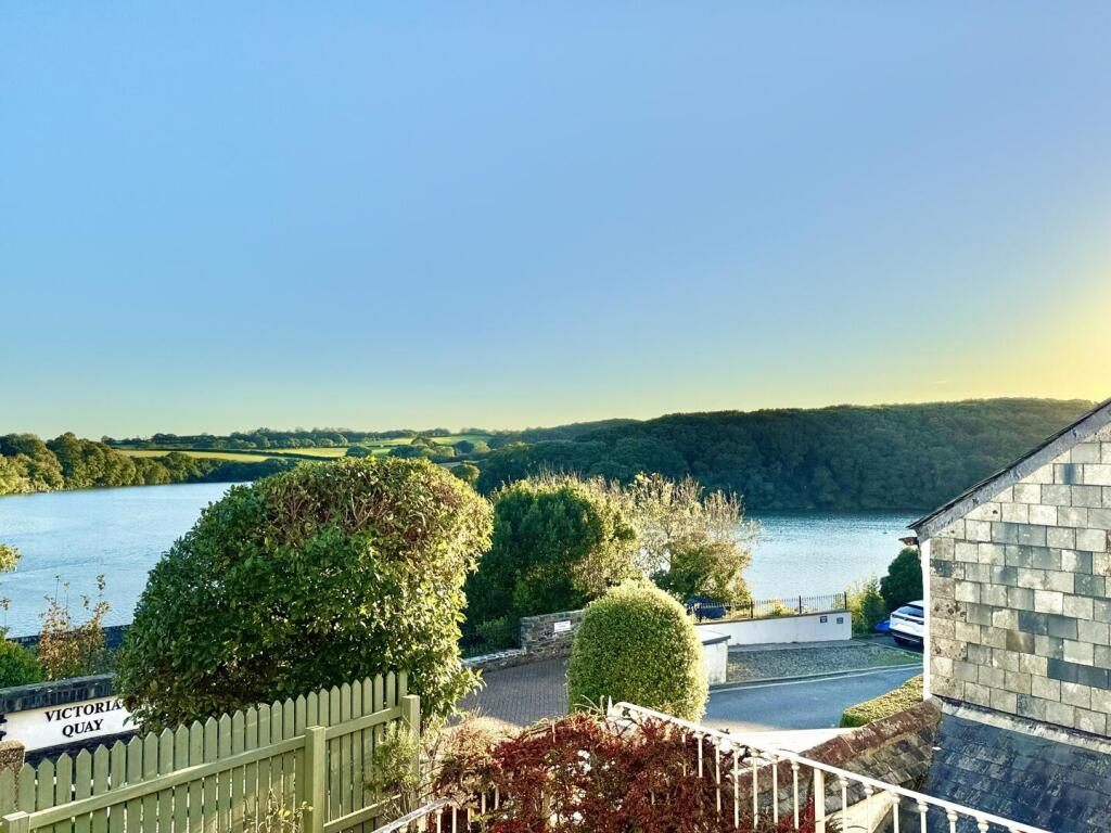 View From the Garden