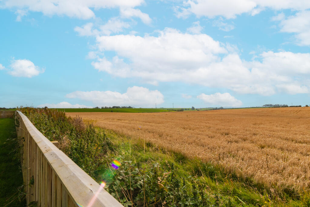 Rolling Countryside Views