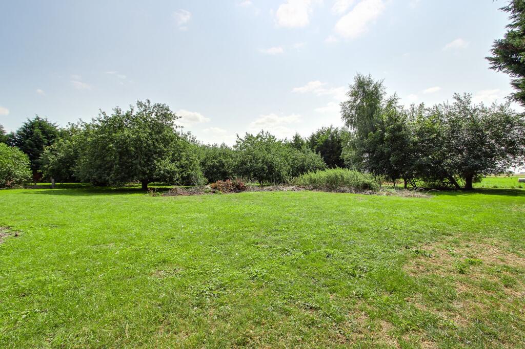 Orchard &amp; Open Grassed Area
