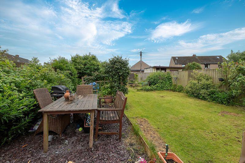 Back Garden