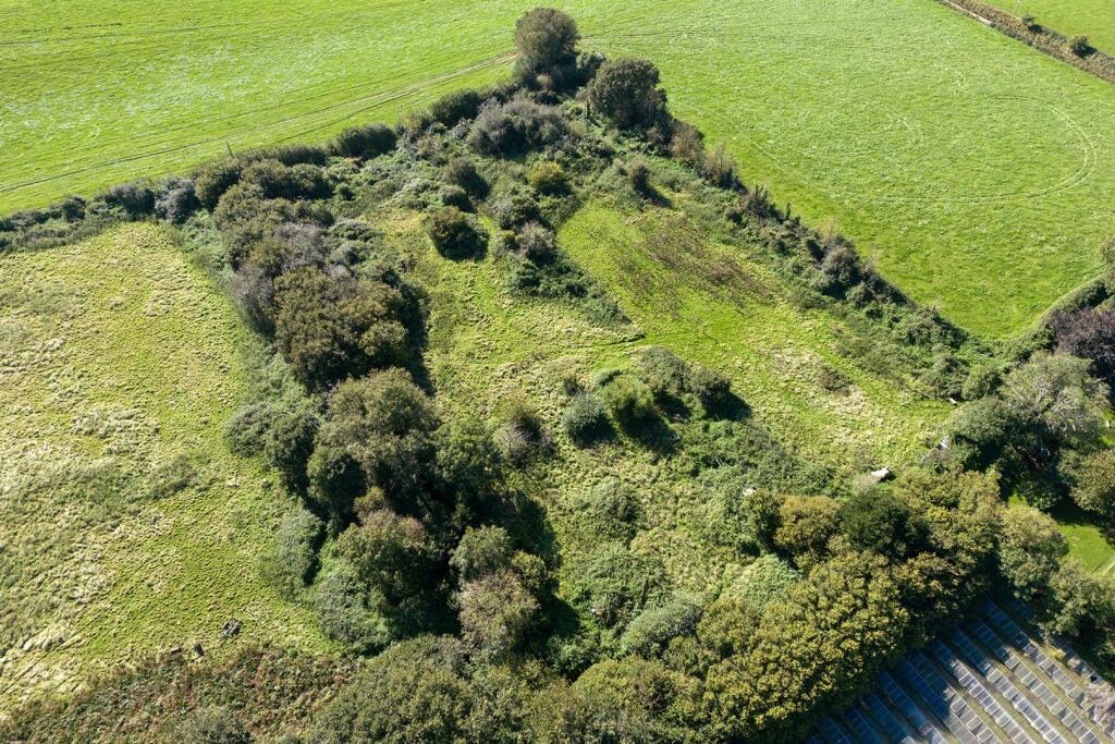 OakTreeNurseryDrone.8.jpg