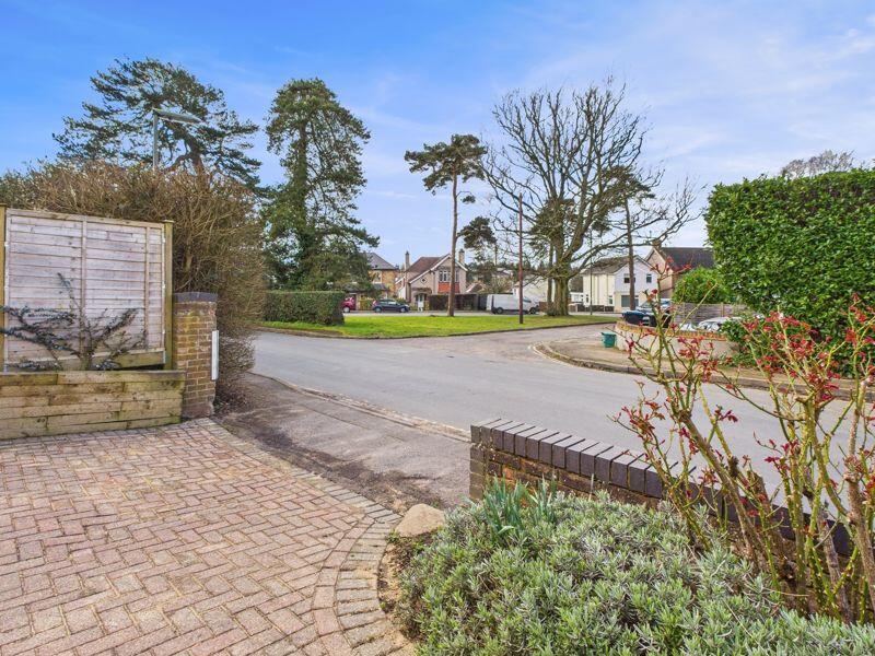 VIEW FROM THE DRIVEWAY