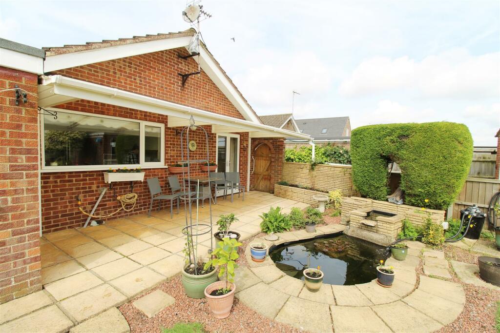 Patio and Pond
