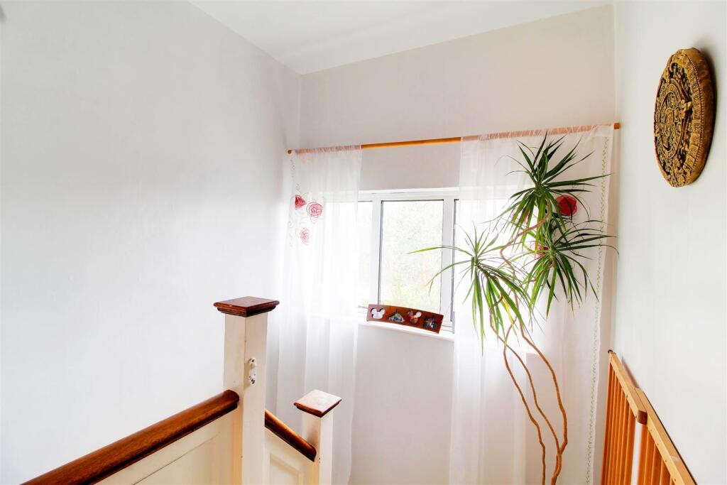 IMG_6525-IMG_6527 copy.jpg