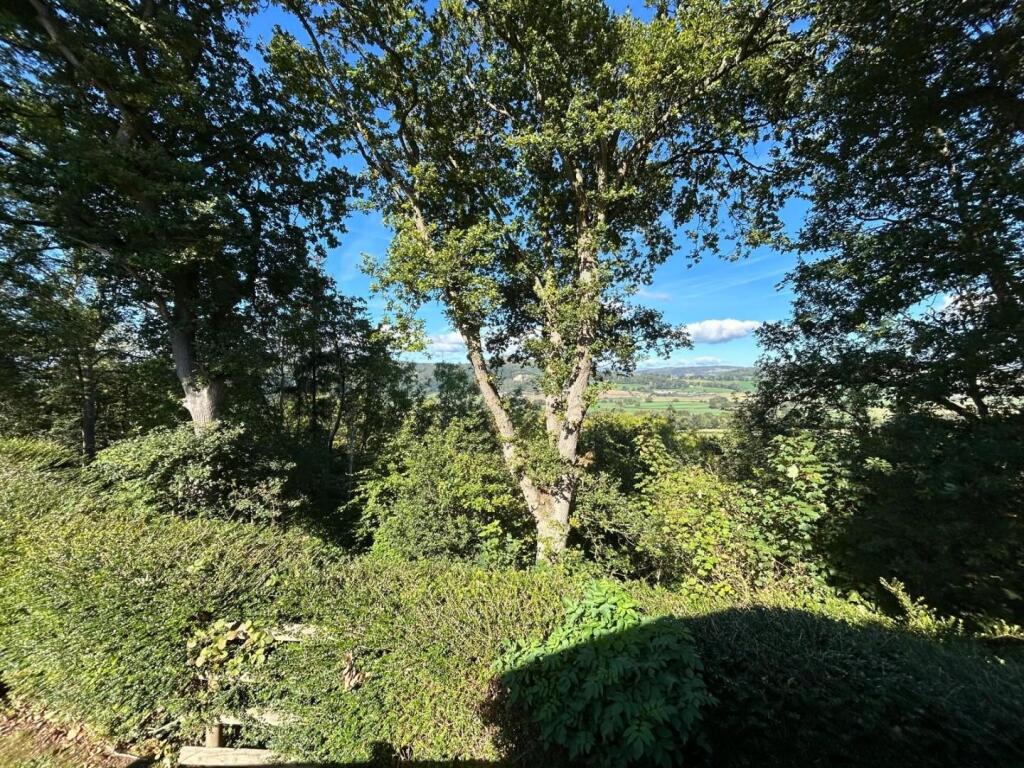 View.jpg
