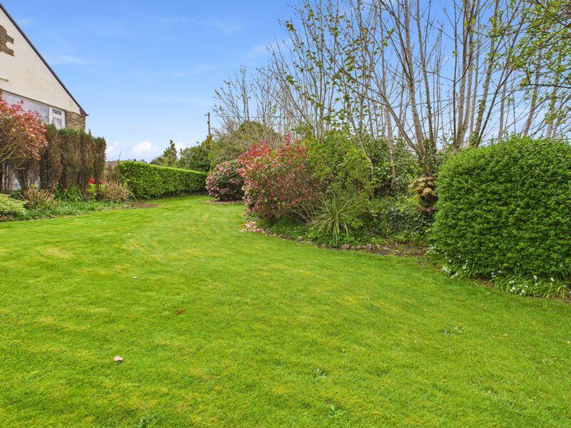 side garden