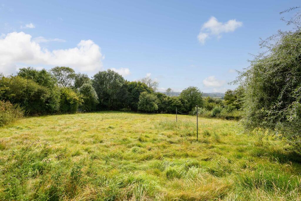 TEK HiRes 240827 024.jpeg