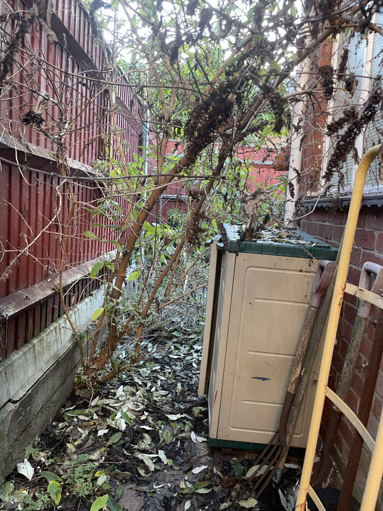 15 T202601091433.jpg