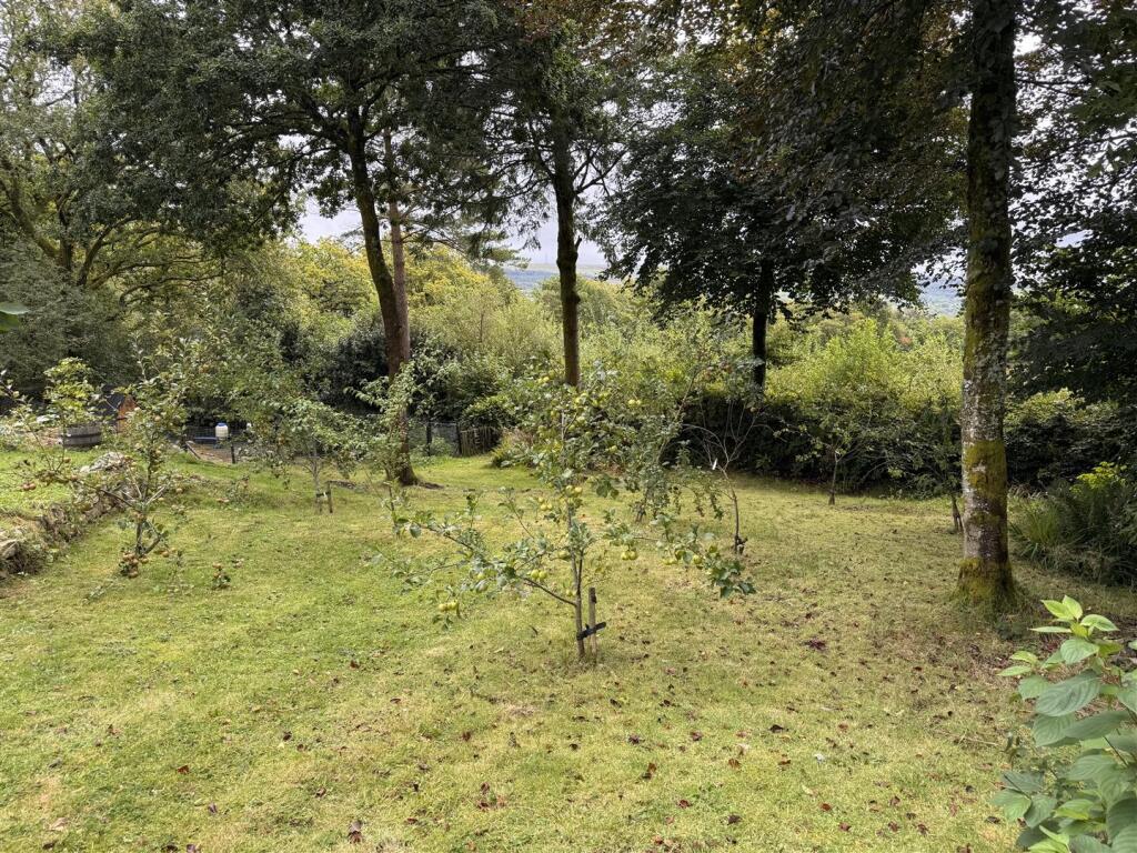Orchard