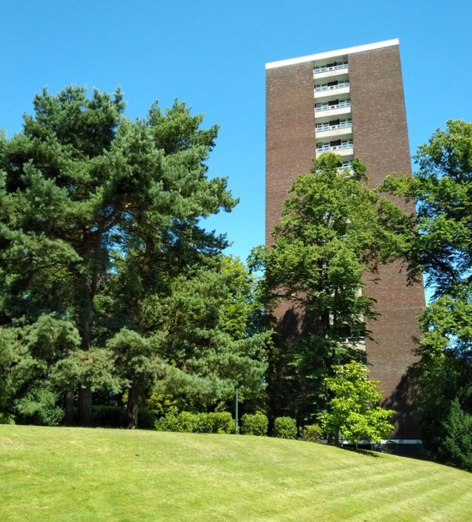 Grounds