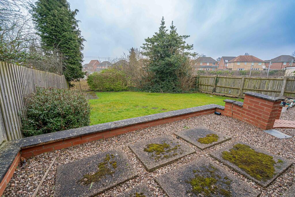 20250208-DSC02544...