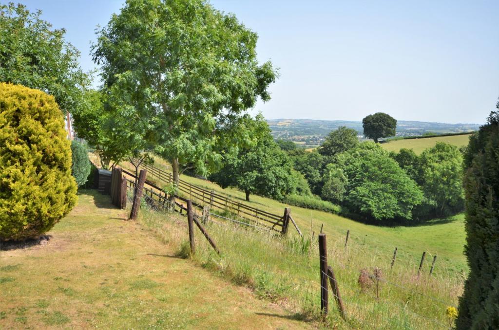 Seddons - Tiverton