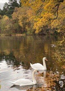Heath and Lake