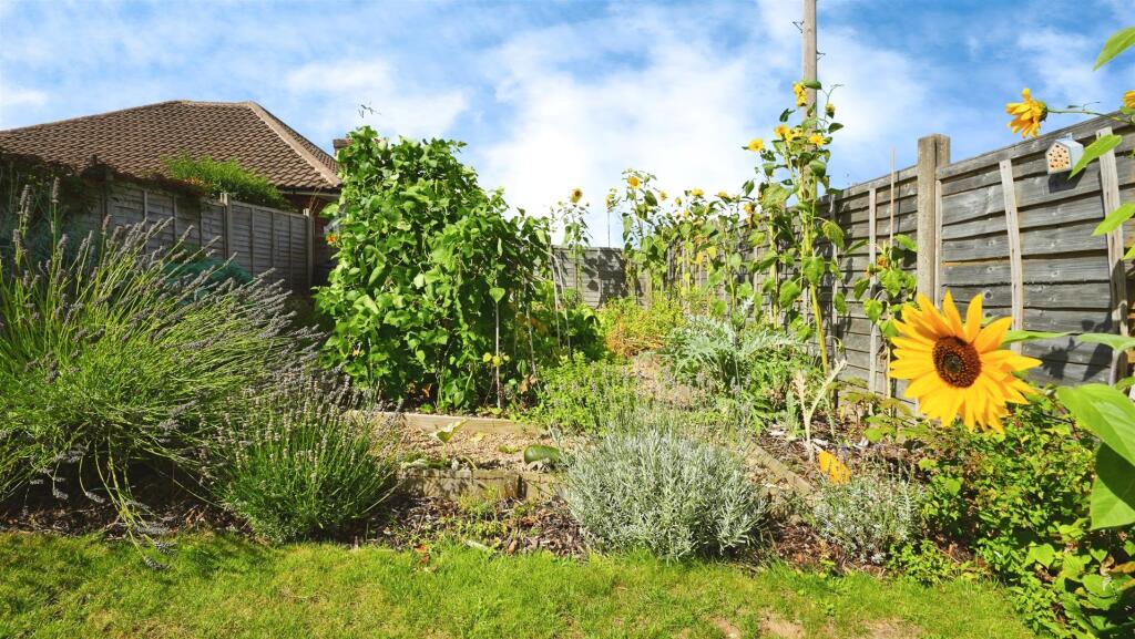 51e2b3ea--466A-B2B2-7CEAF6E53AB3-25515-0000096CB9A