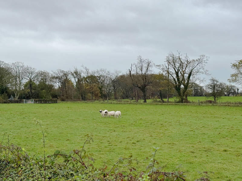 Surroundings