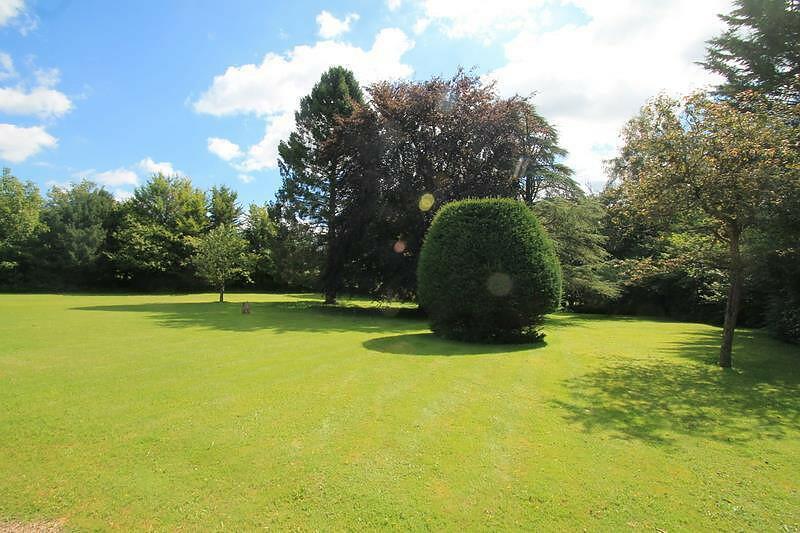 Garden 1
