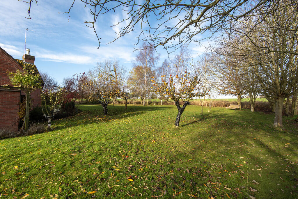 Garden 2 