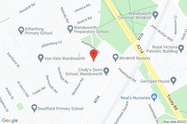 Google Maps Image