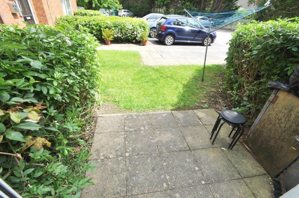 Rear Patio