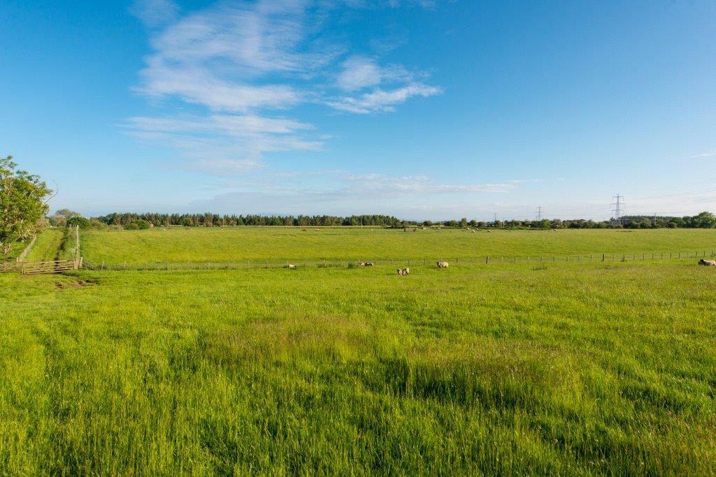 Lot 1 Land