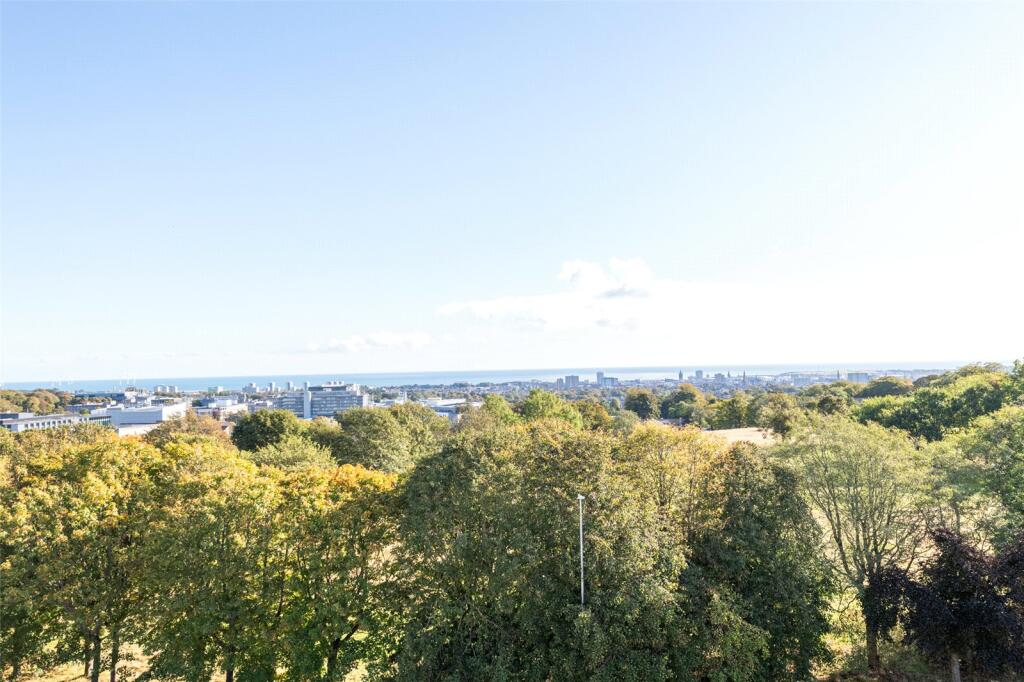 Midstocket View