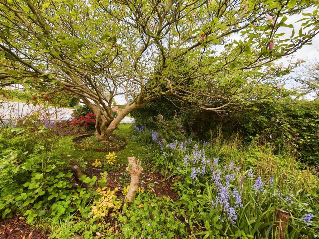 Side Garden.jpg
