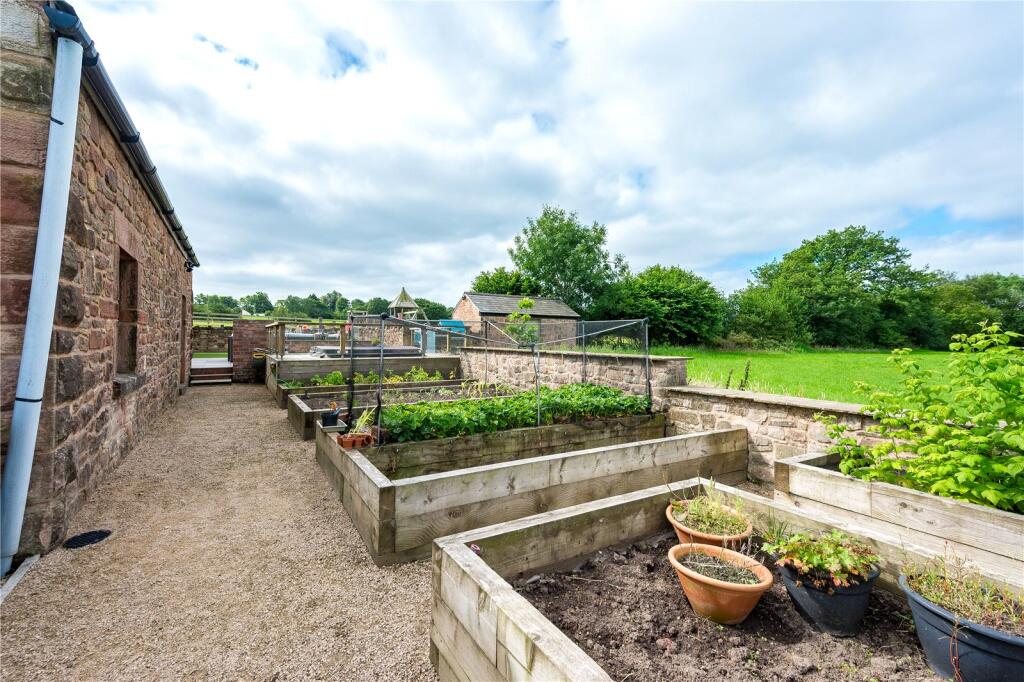 Raised Beds