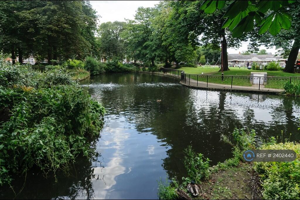 Tower Gardens Pond