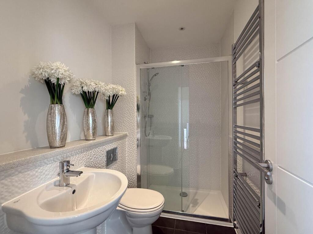 Copy of 20250217_153114189_0.0.jpg