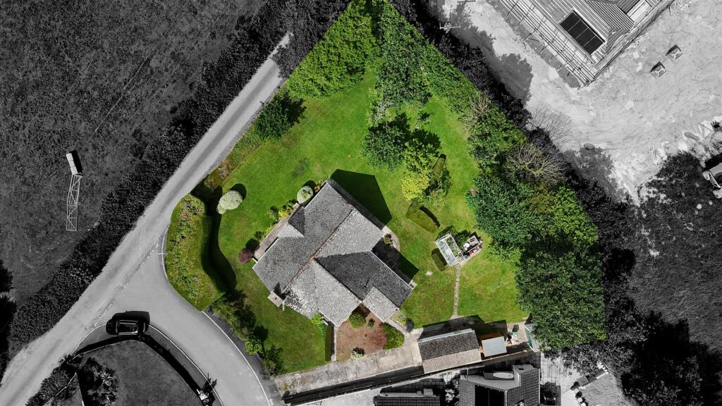 Newlands Birdseye B&amp;W.jpg