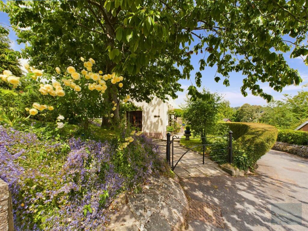 CAM02563G0-PR0081-ST