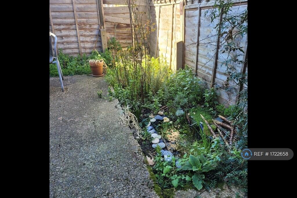 Patio Garden
