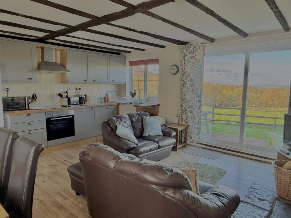 Living Area/Kitchen