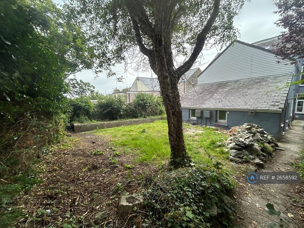 Spacious Back Garden 