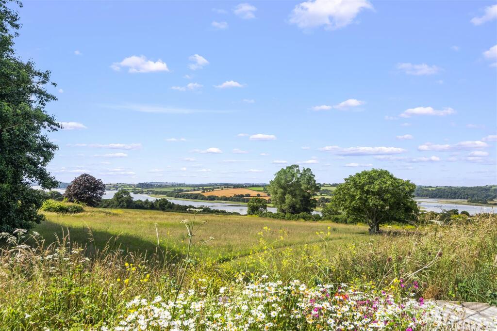 View over Meadow Field