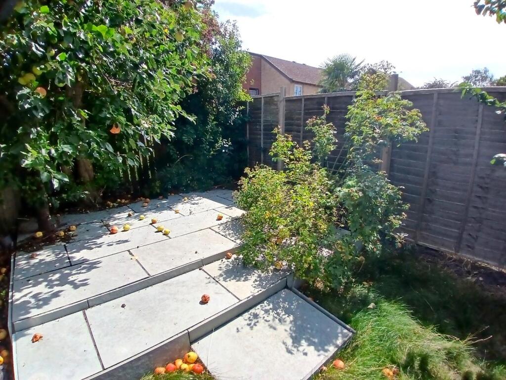 Rear patio.jpg