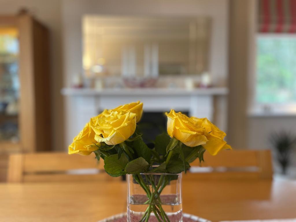 Dining room!