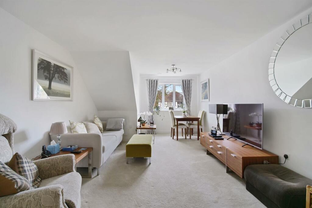 02-2e54P4151463 (1)-medium.JPG