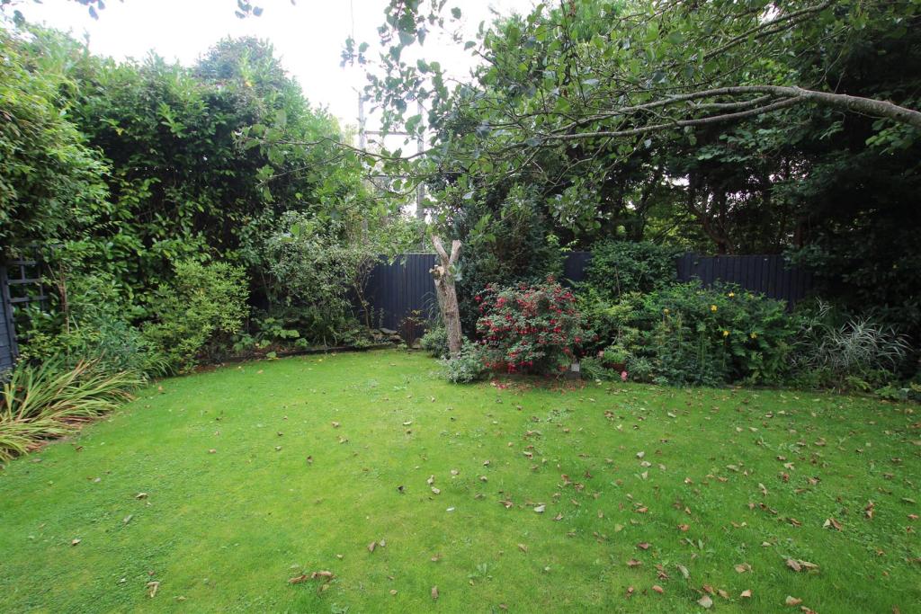 garden.JPG