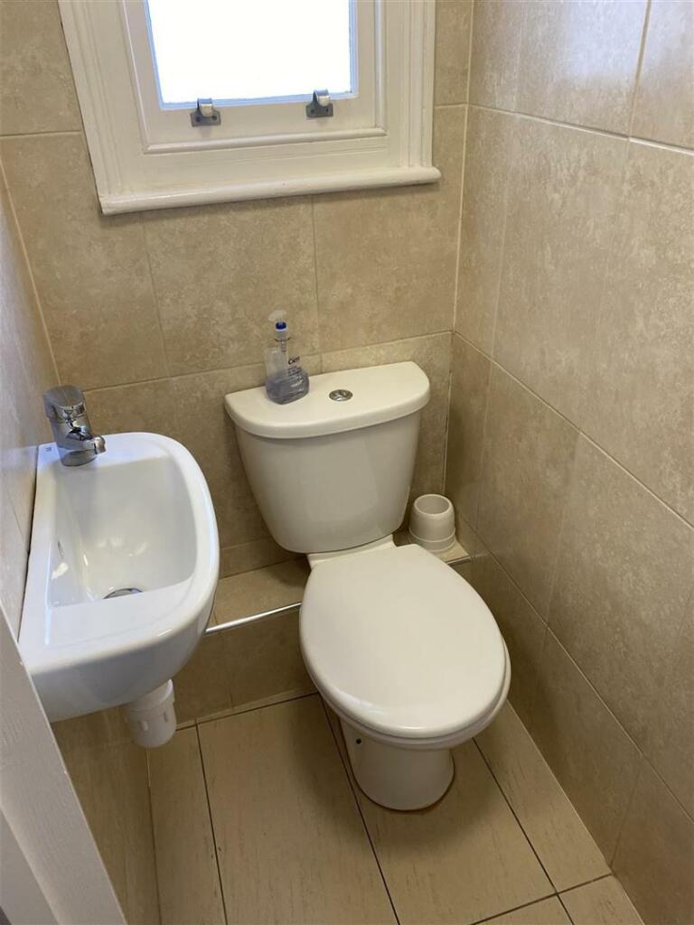 IMG_2974 (Large).JPG