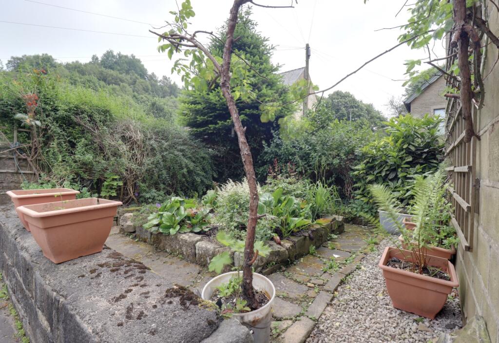 Garden 1