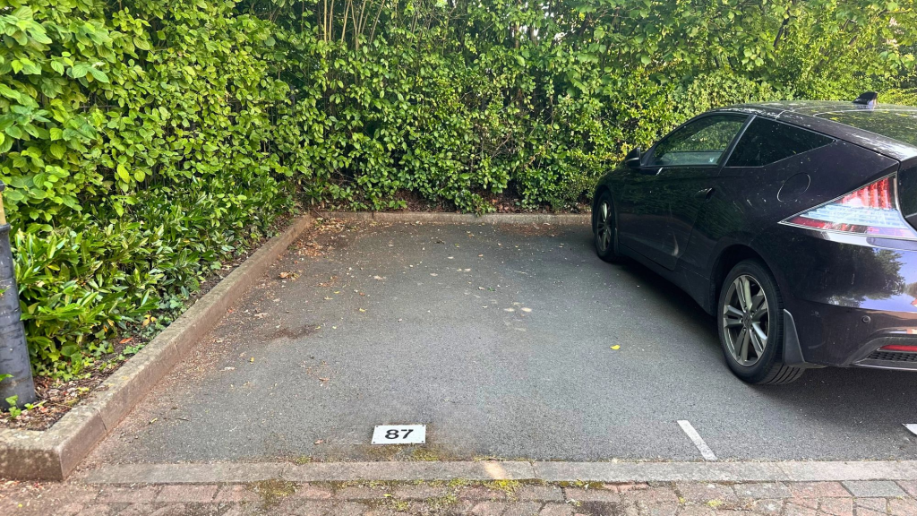 Designated Parking