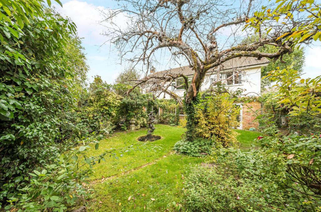 1369346-3-68f0e12...